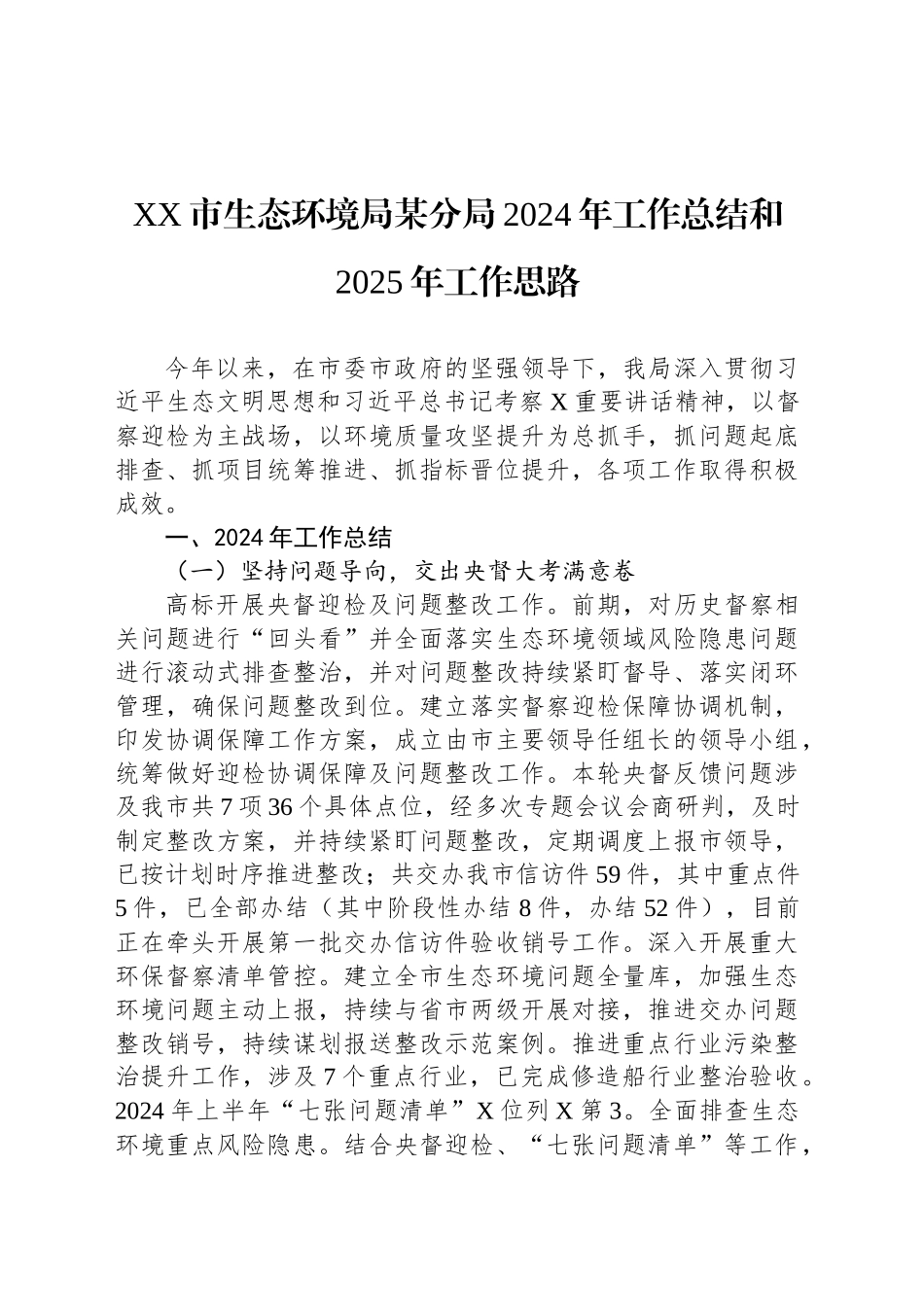 XX市生态环境局某分局2024年工作总结和2025年工作思路_第1页