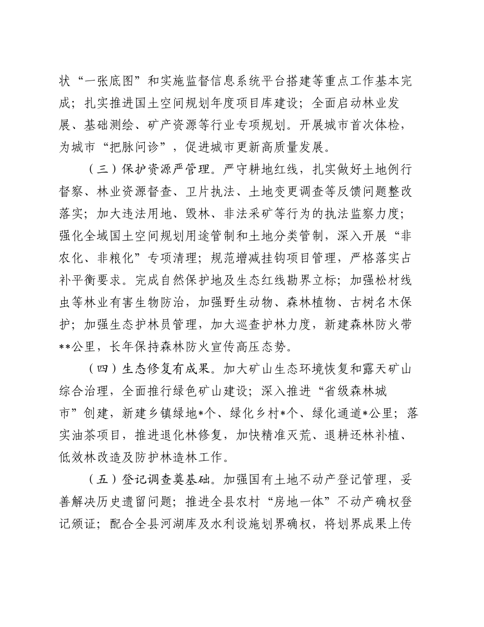 县自然资源和规划局2024年工作总结_第2页