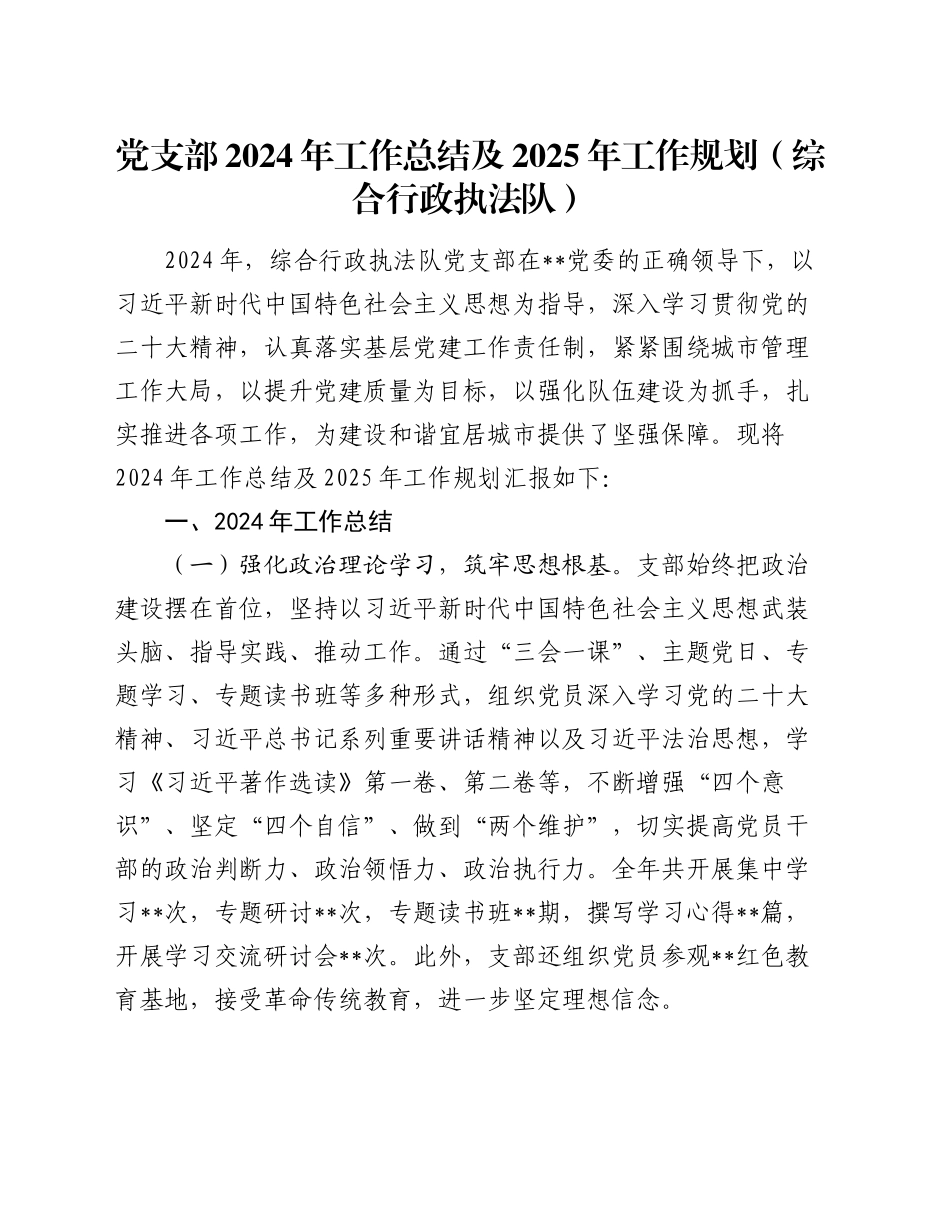 党支部2024年工作总结及2025年工作规划（综合行政执法队）_第1页