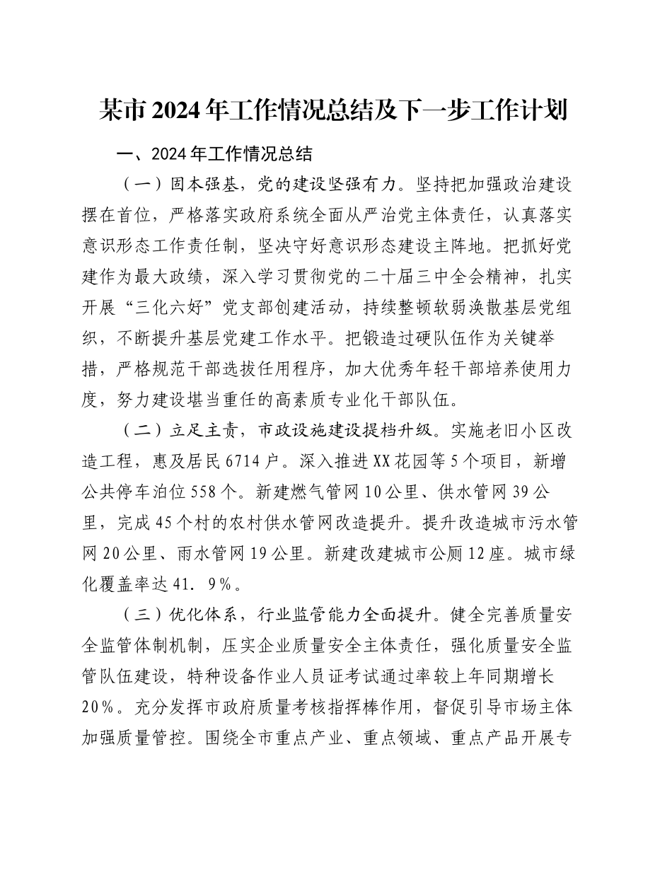 某市2024年工作情况总结及下一步工作计划_第1页