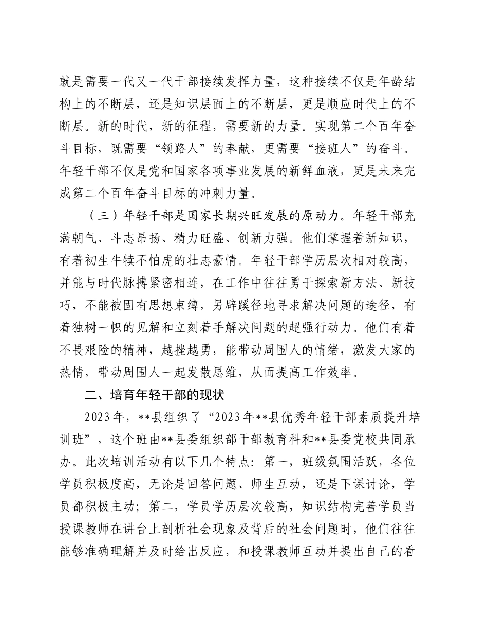 加强年轻干部培育的思考与建议（调研报告参考）_第2页