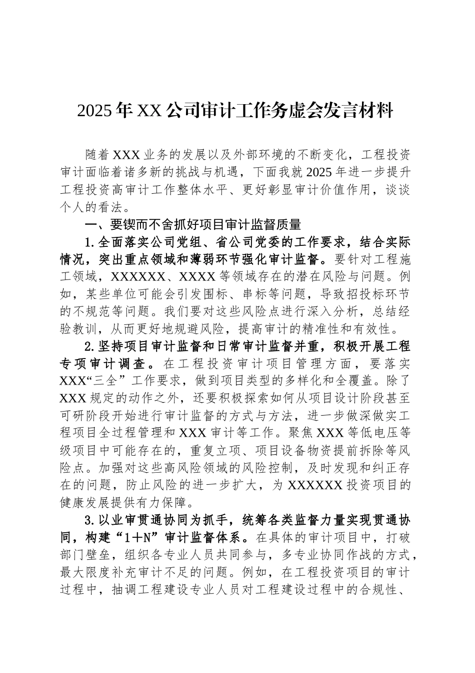 2025年XX公司审计工作务虚会发言材料_第1页