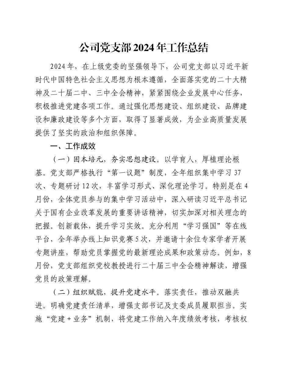 公司党支部2024年工作总结_第1页