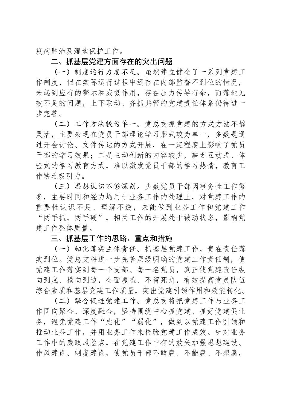 2024年党总支书记抓基层党建工作述职报告_第2页