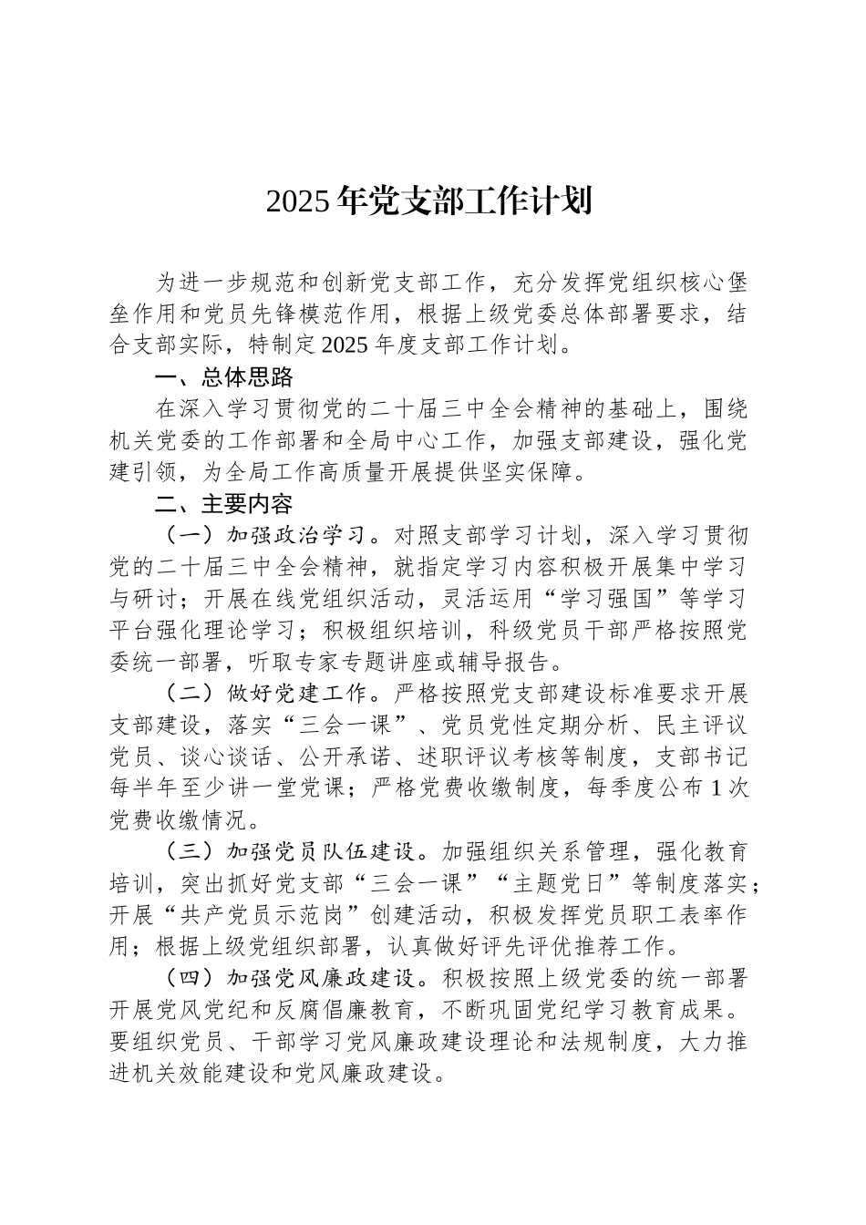 2025年党支部工作计划_第1页