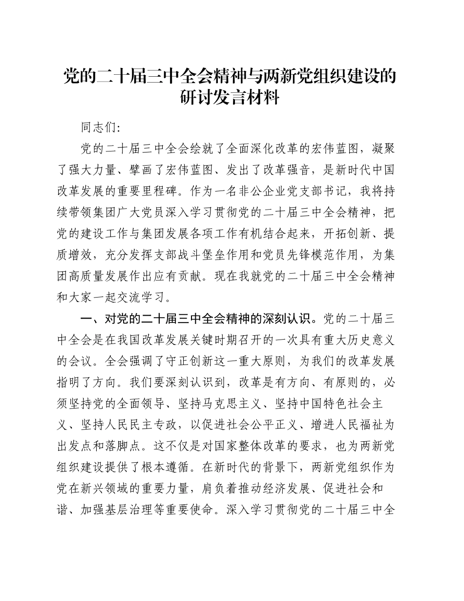 党的二十届三中全会精神与两新党组织建设的研讨发言材料_第1页