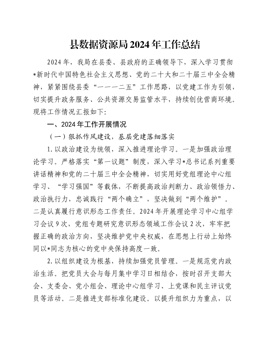 县数据资源局2024年工作总结_第1页