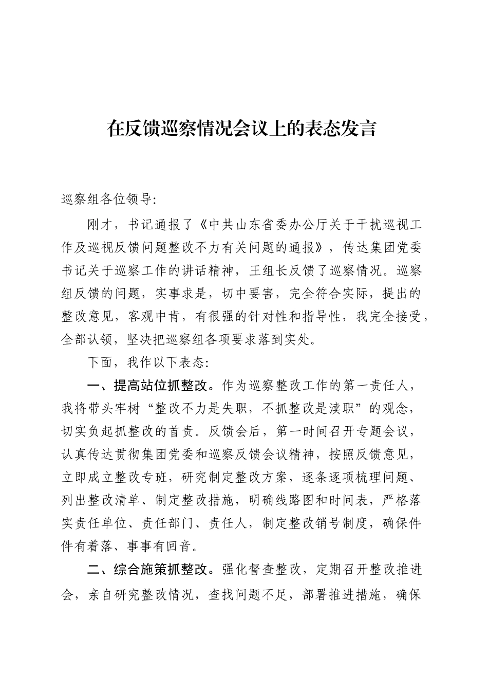 巡视整改表态发言材料_第1页