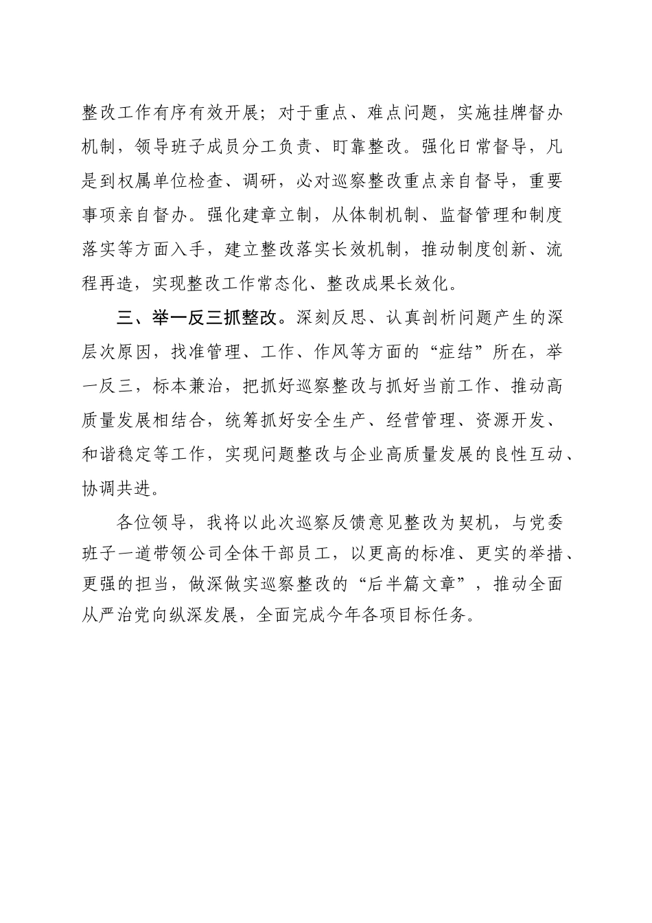 巡视整改表态发言材料_第2页