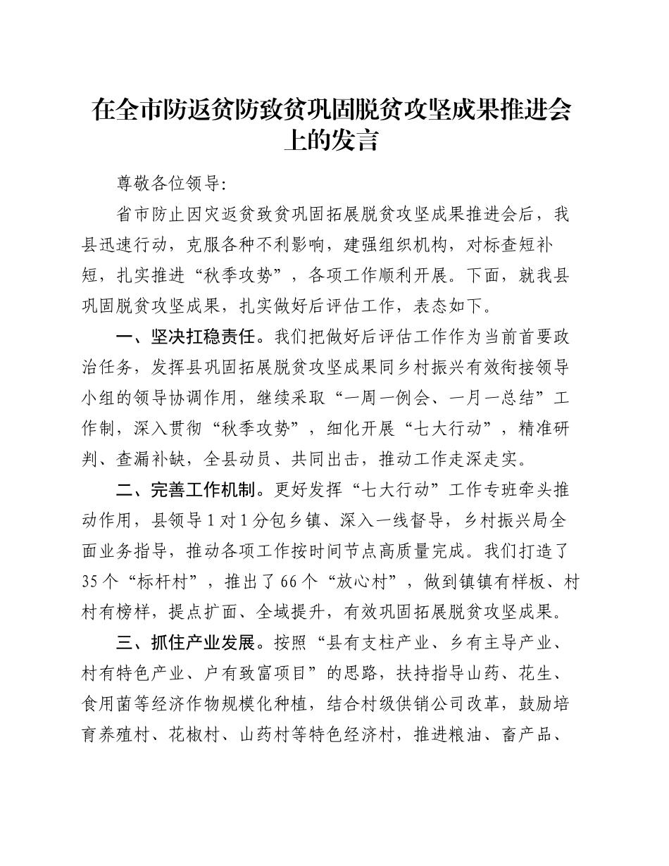 在全市防返贫防致贫巩固脱贫攻坚成果推进会上的发言_第1页