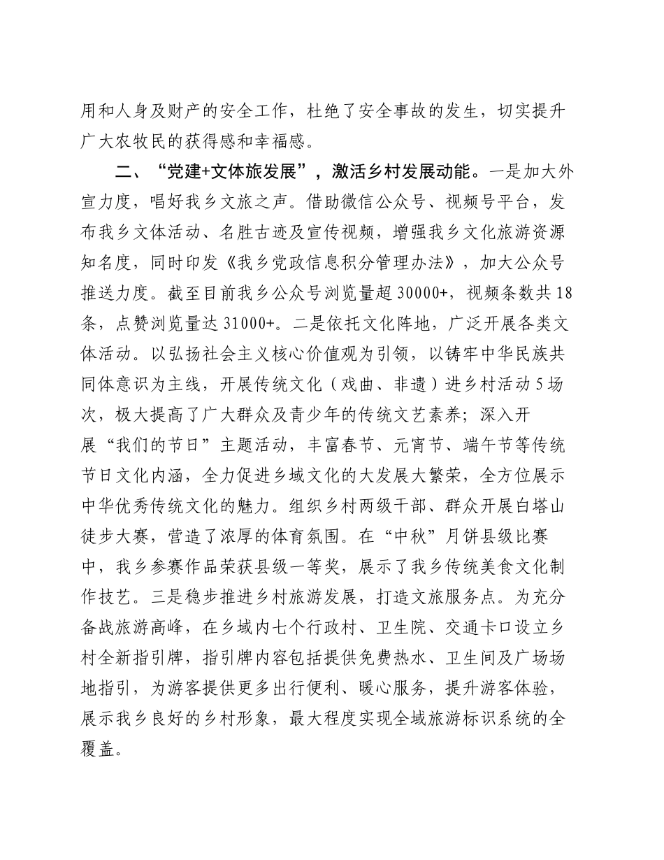 某乡在全市党建引领乡村全面振兴工作会议上的交流发言_第2页