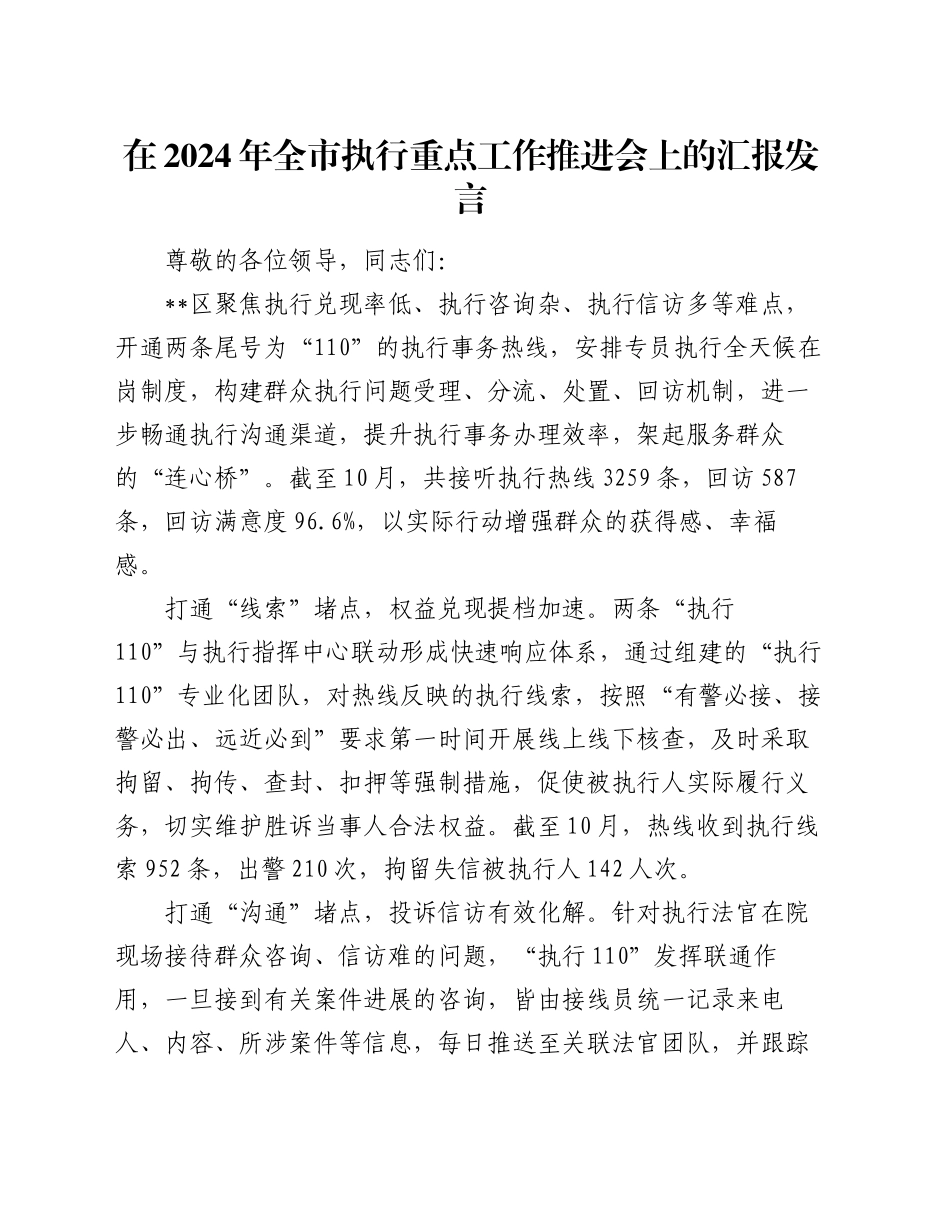 在2024年全市执行重点工作推进会上的汇报发言_第1页