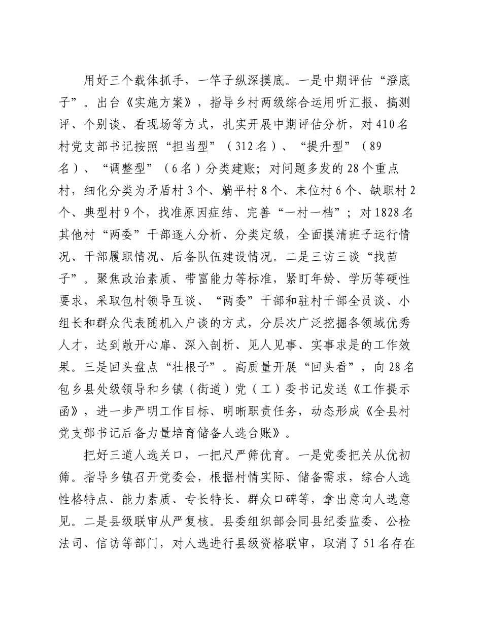 在2024年全市村党支部书记后备力量培育储备工作专题推进会上的汇报发言_第2页