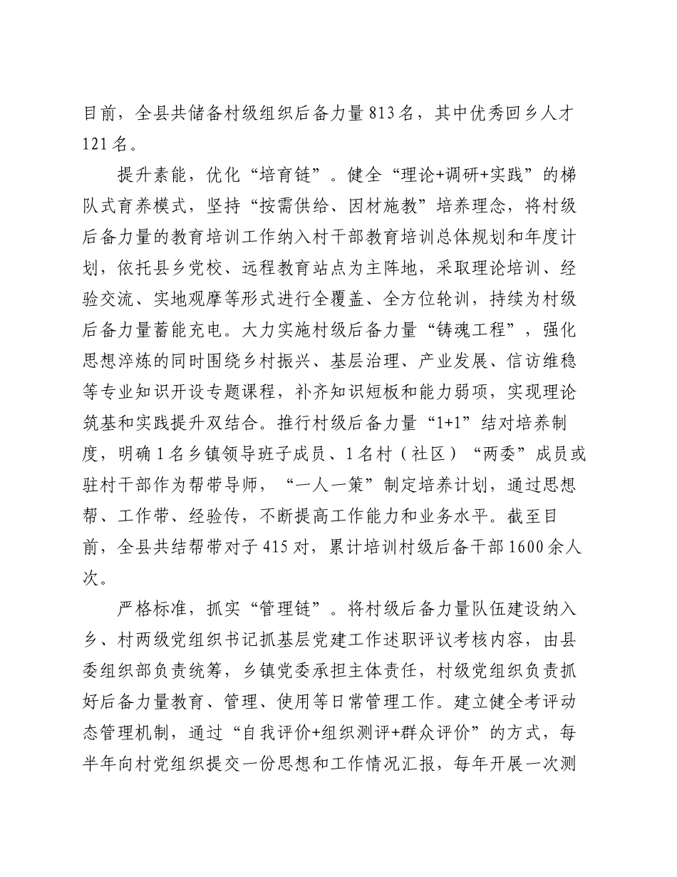 在2024年全市村级后备力量培育储备工作推进汇报会上的发言_第2页
