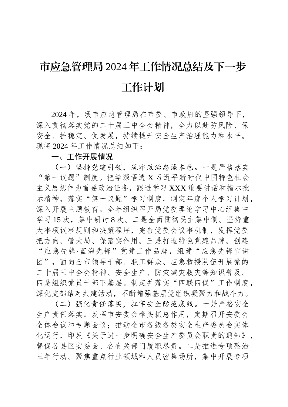 市应急管理局2024年工作情况总结及下一步工作计划_第1页