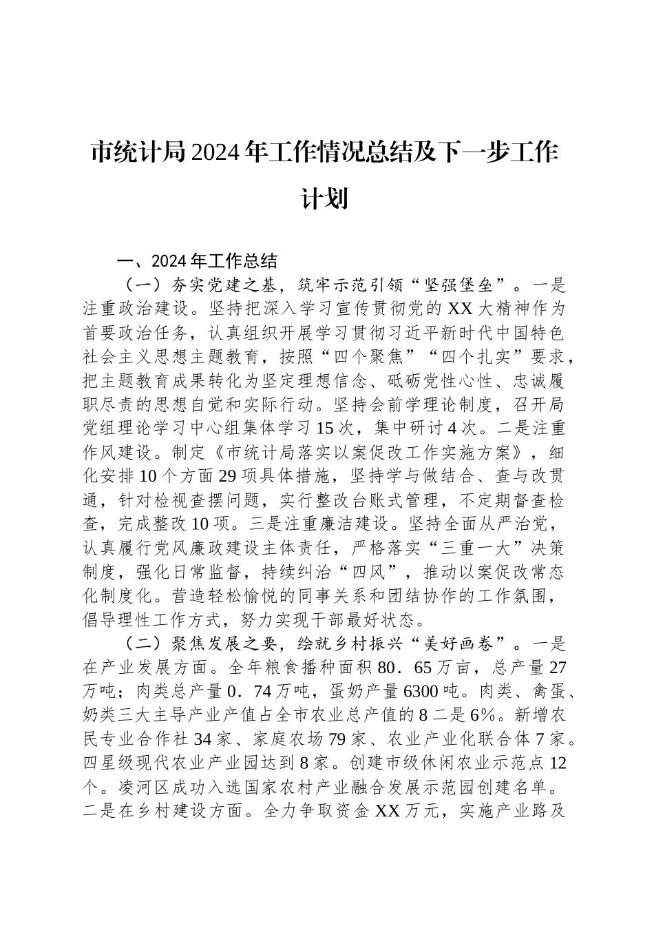 市统计局2024年工作情况总结及下一步工作计划_第1页