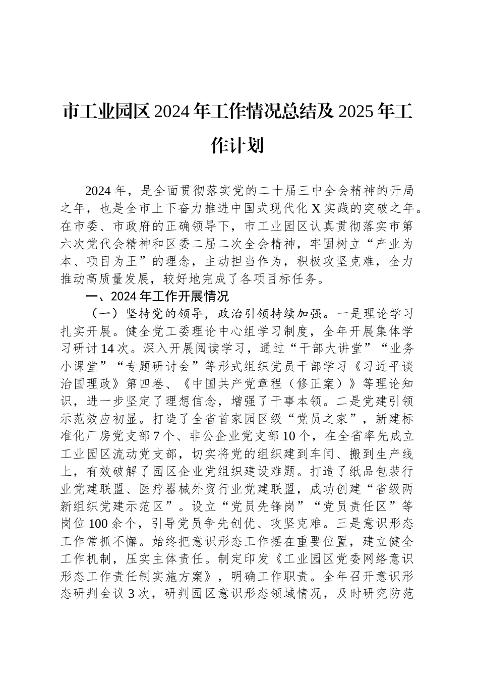 市工业园区2024年工作情况总结及2025年工作计划_第1页