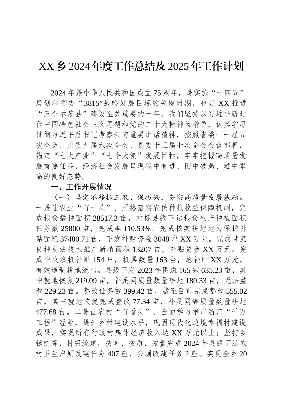 XX乡2024年度工作总结及2025年工作计划_第1页