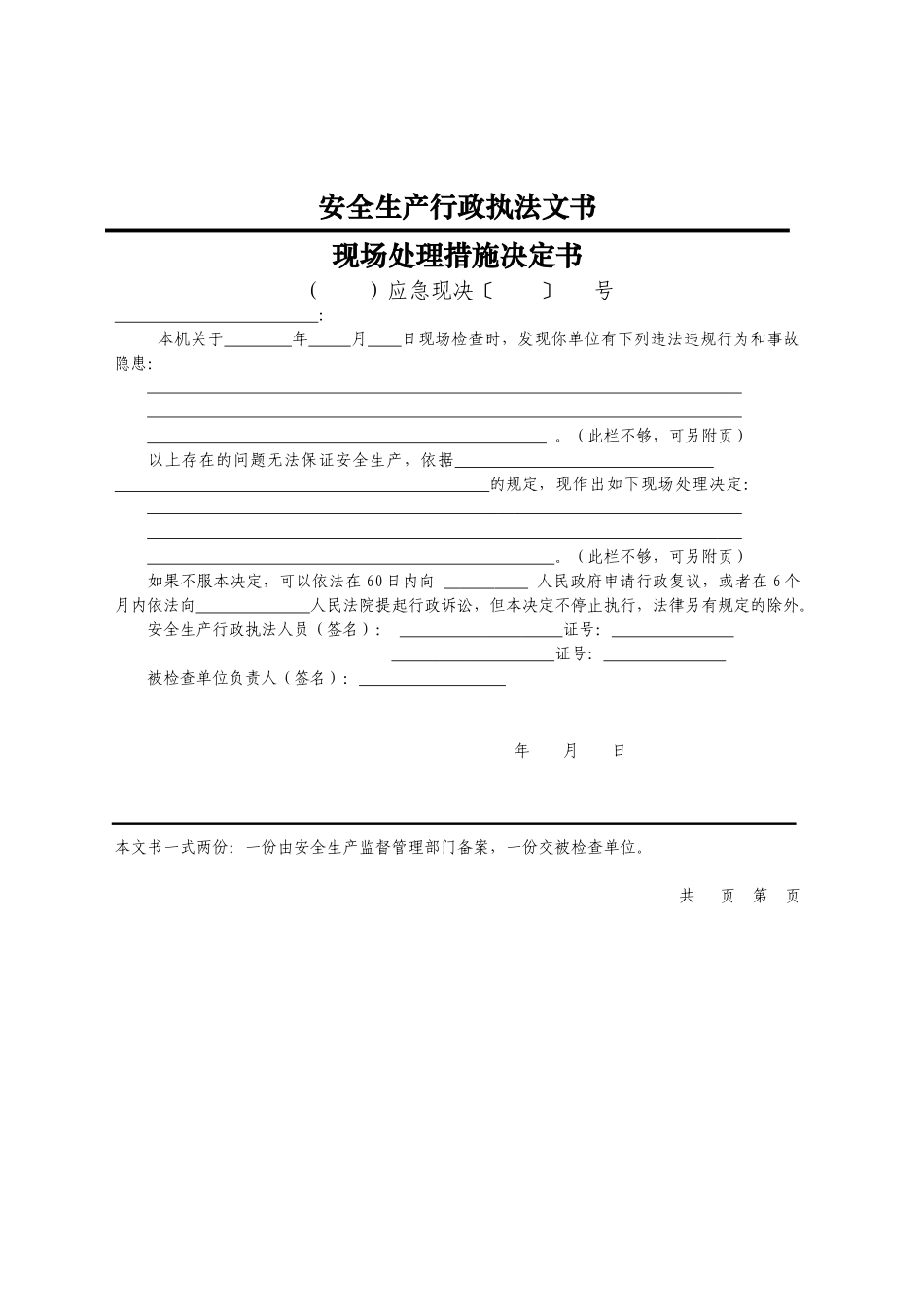 现场处理措施决定书(1)_第1页