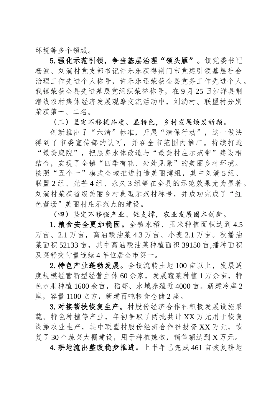 XX镇2024年工作总结及2025年工作安排_第2页