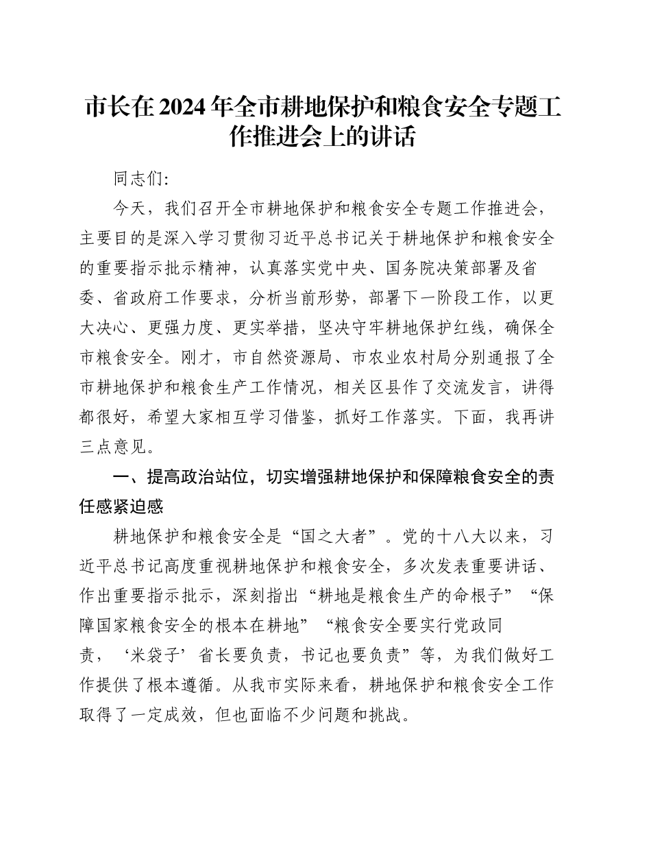 市长在2024年全市耕地保护和粮食安全专题工作推进会上的讲话_第1页