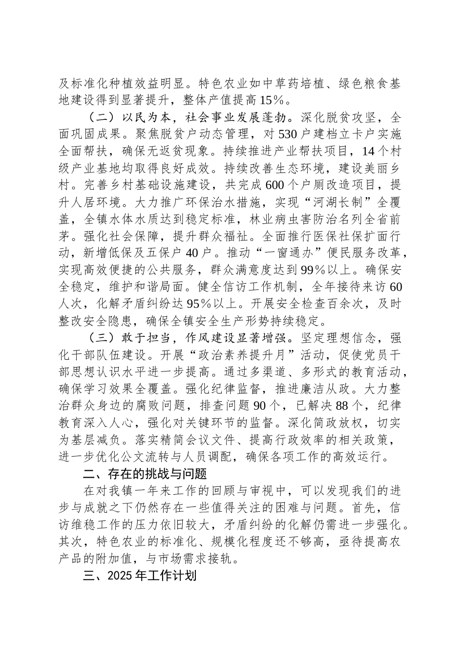 某镇2024年工作总结和2025年工作计划_第2页