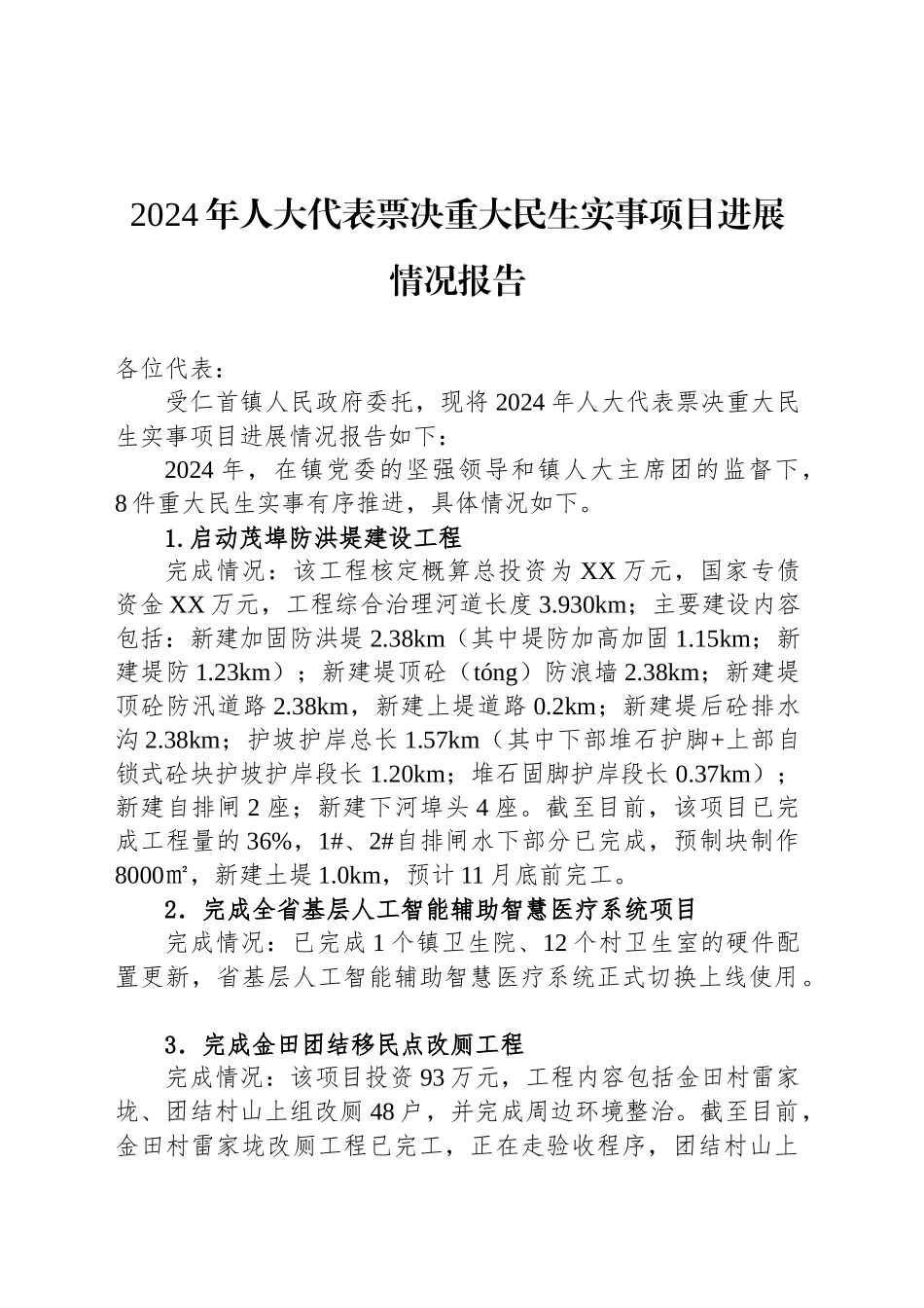 2024年人大代表票决重大民生实事项目进展情况报告_第1页