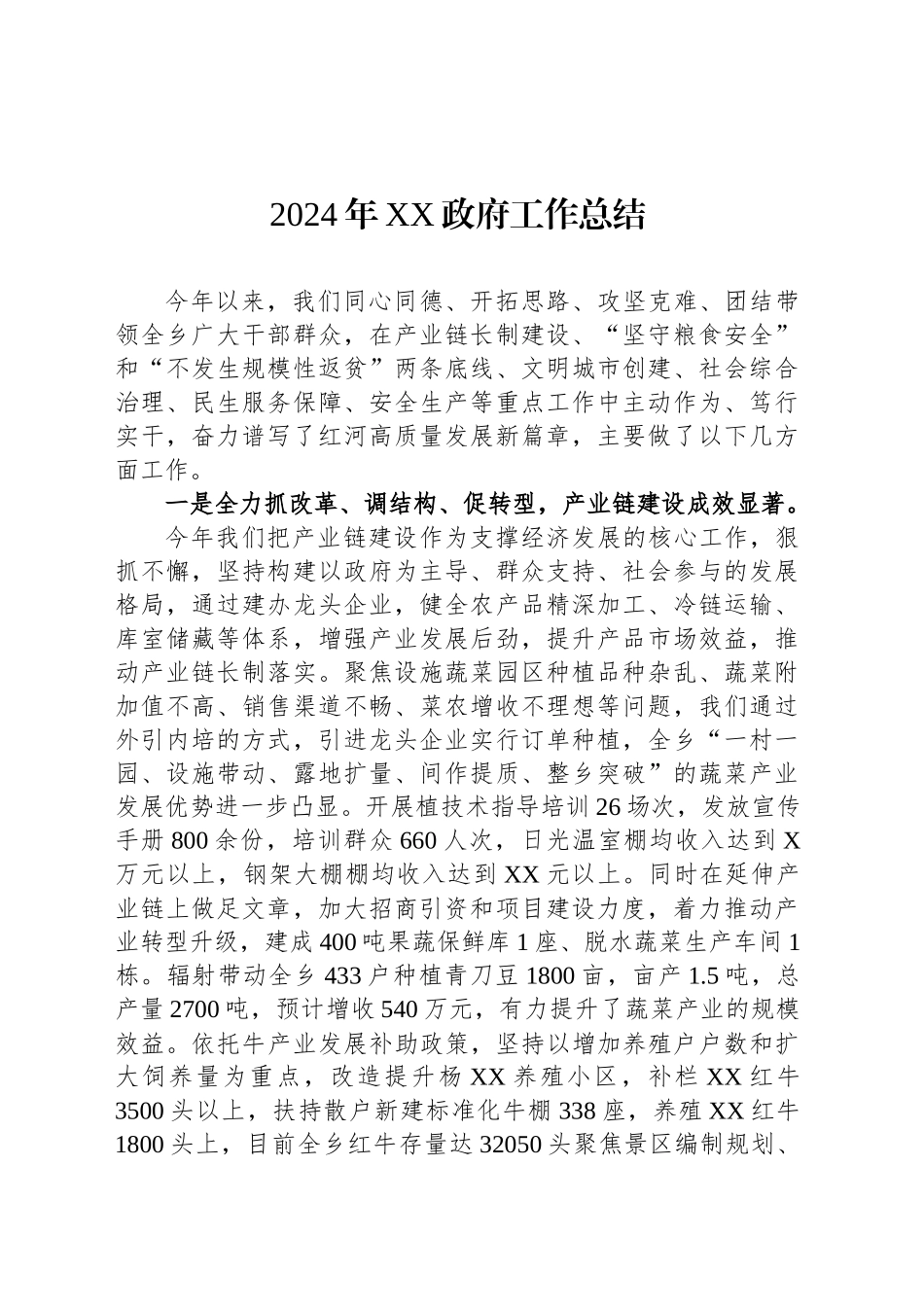 2024年XX政府工作总结_第1页