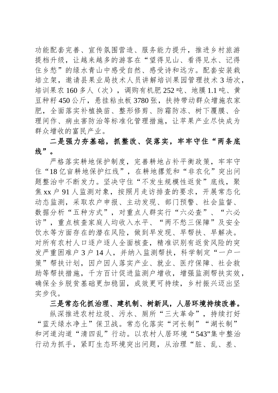 2024年XX政府工作总结_第2页