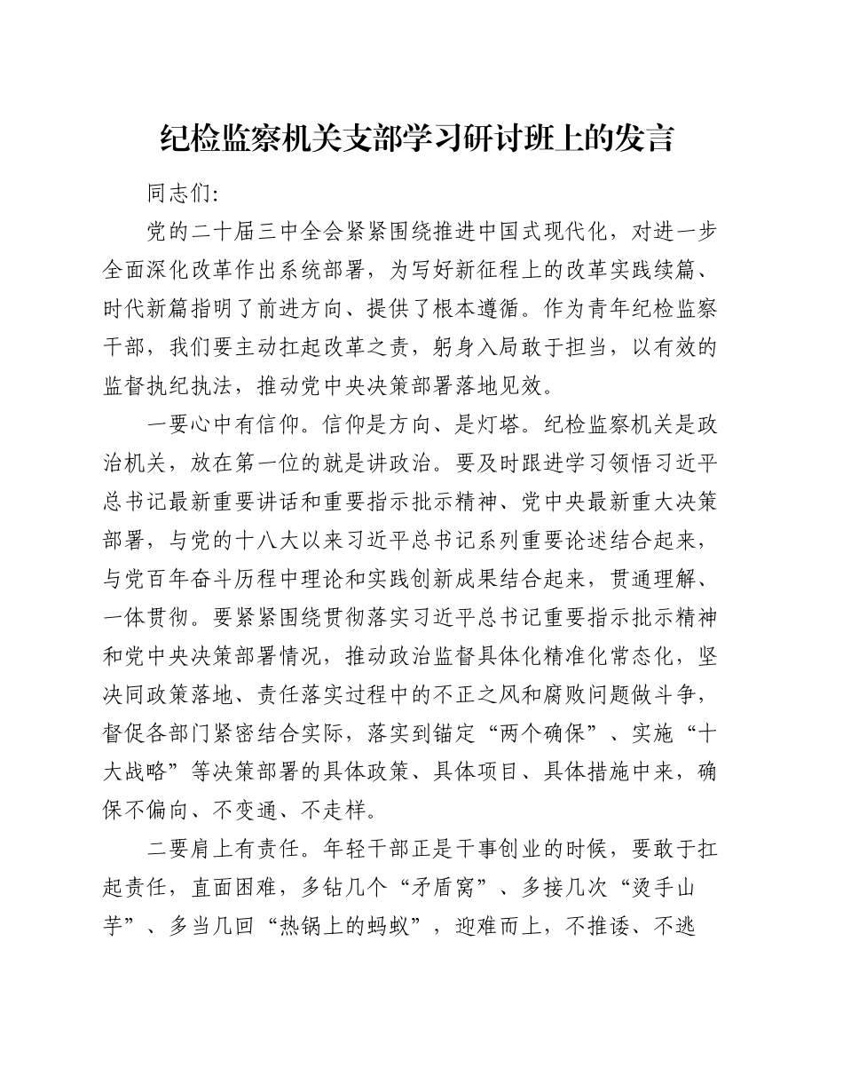 纪检监察机关支部学习研讨班上的发言_第1页
