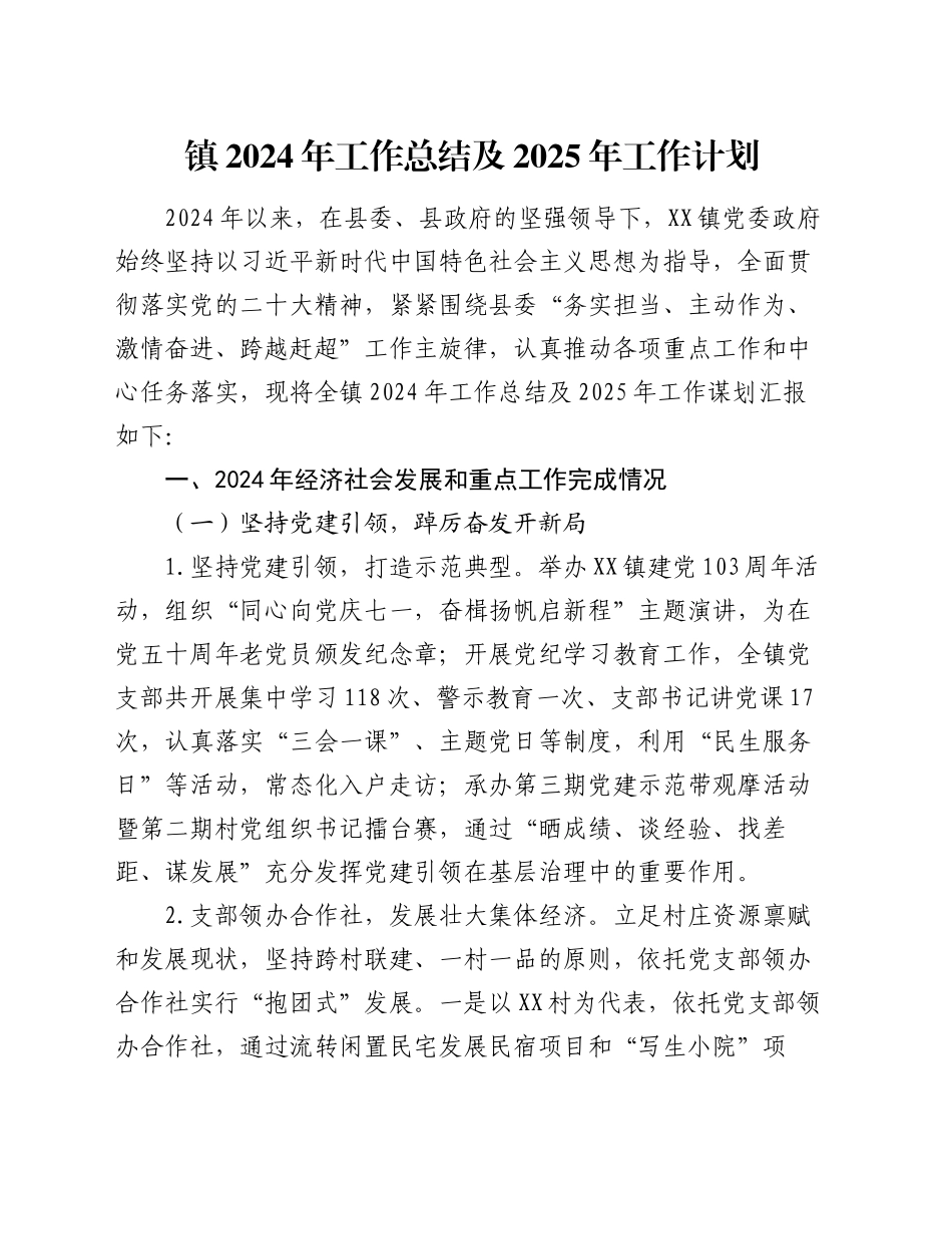 镇2024年工作总结及2025年工作计划（3）_第1页