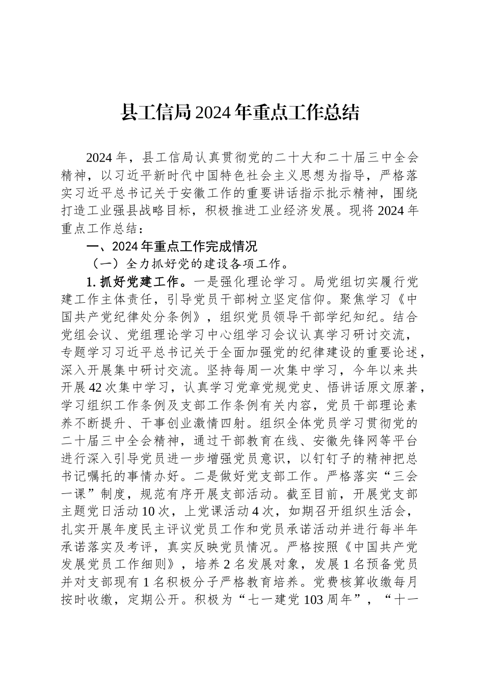 县工信局2024年重点工作总结_第1页