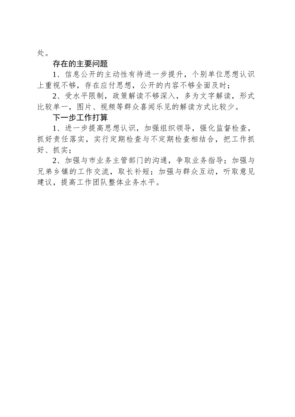 XX镇2024年政务公开工作总结和2025年工作举措_第2页