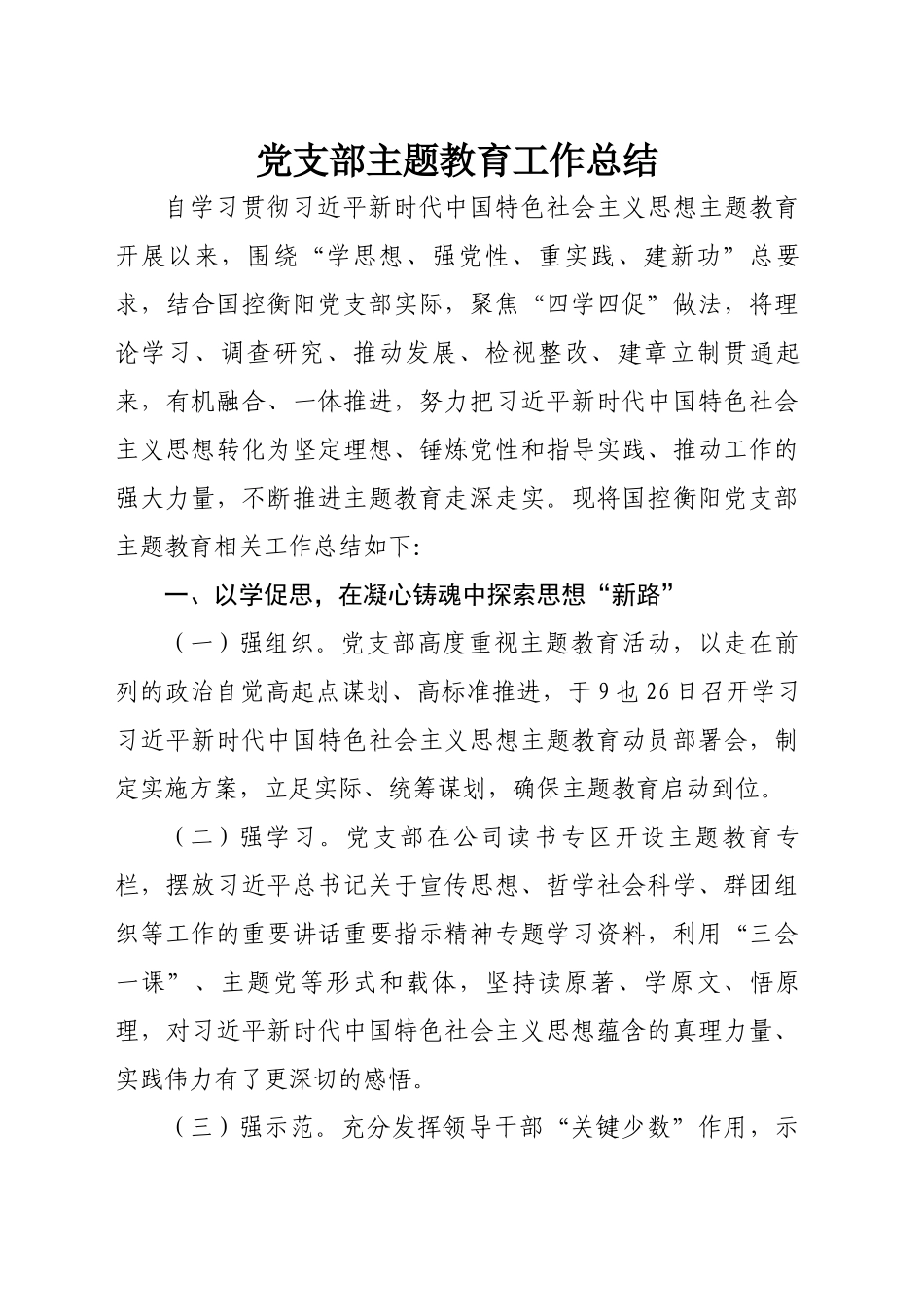党支部主题教育的总结工作报告_第1页