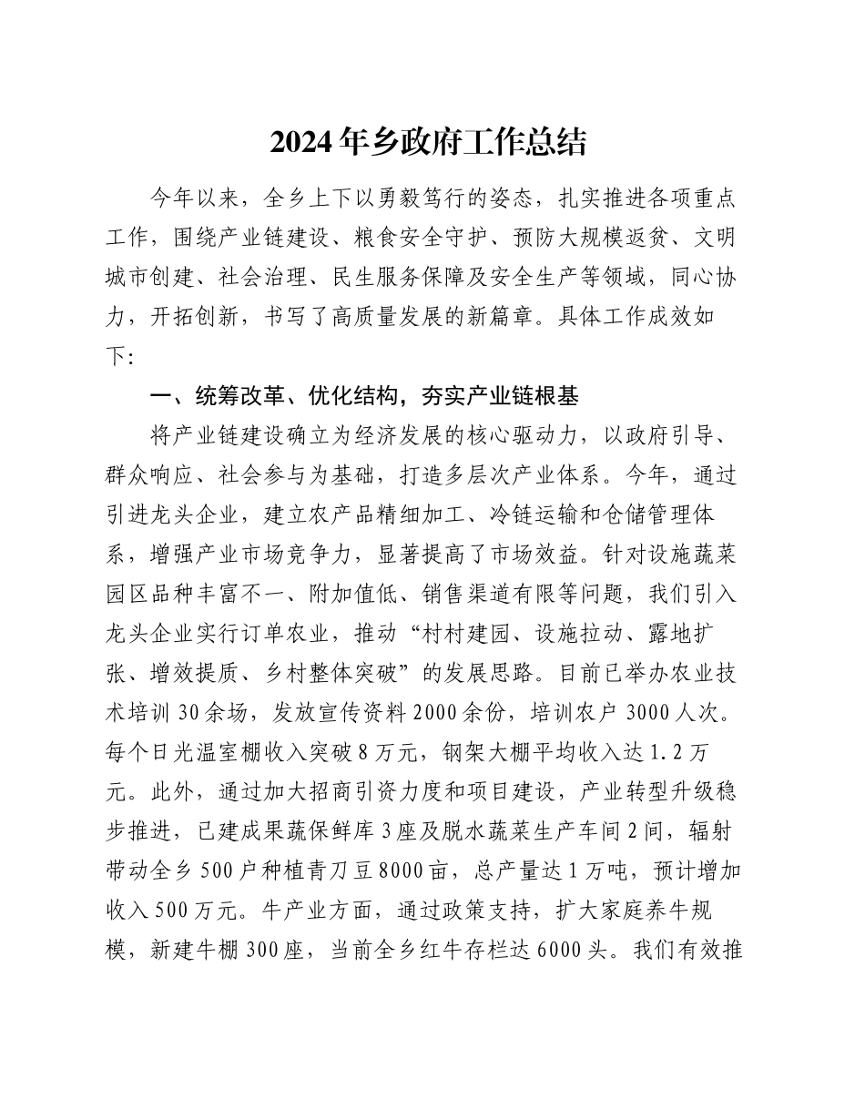 2024年乡政府工作总结_第1页