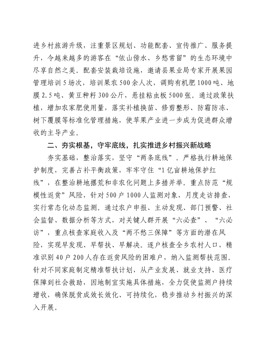 2024年乡政府工作总结_第2页