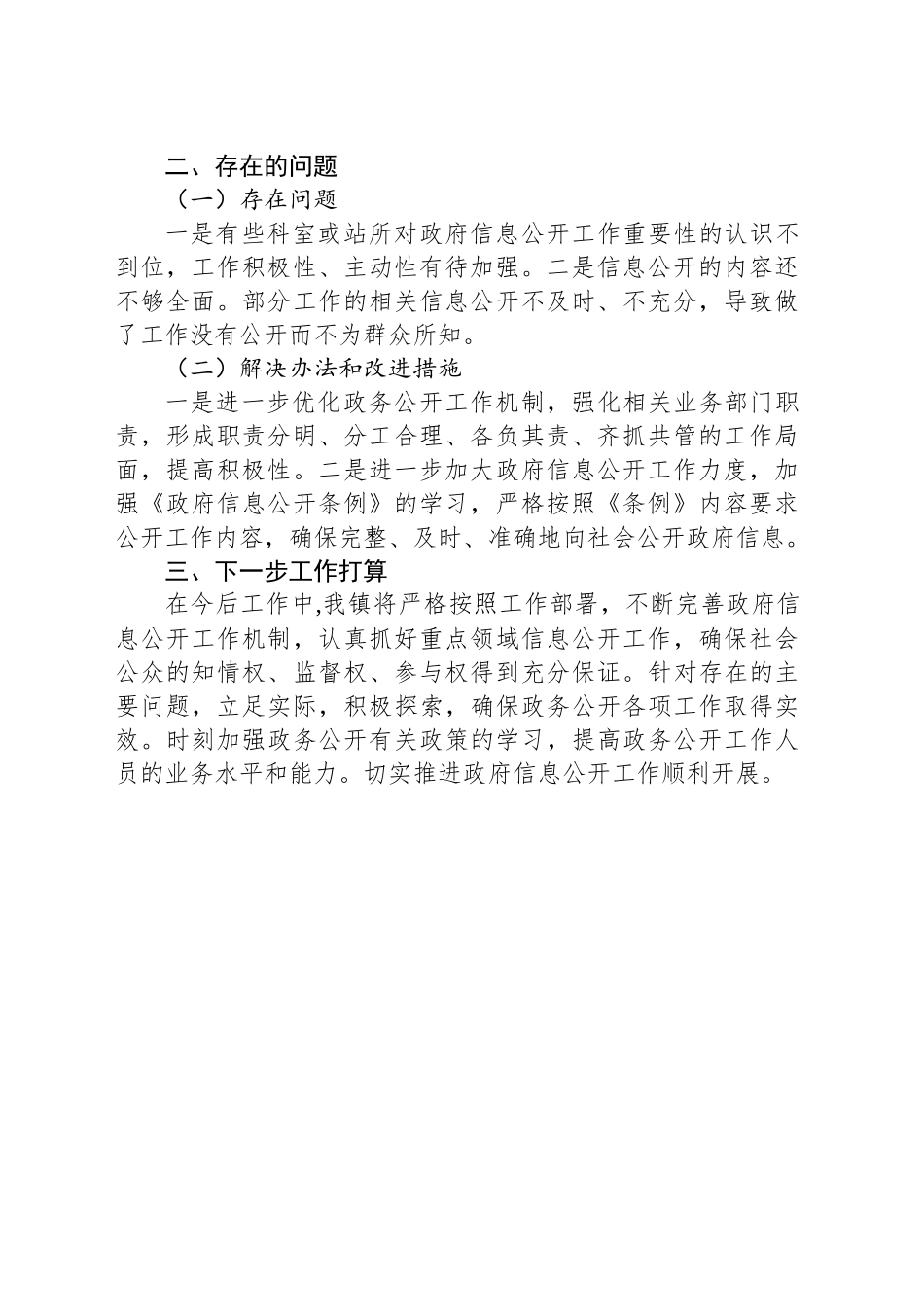 XX镇2024年政务公开工作总结_第2页