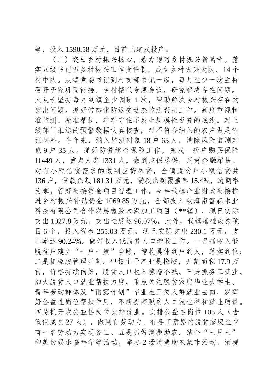 乡镇街道2024年工作总结及2025年工作计划_第2页