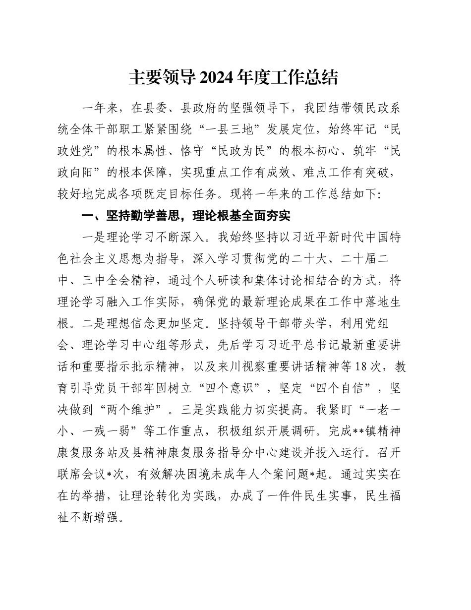 主要领导2024年度工作总结_第1页