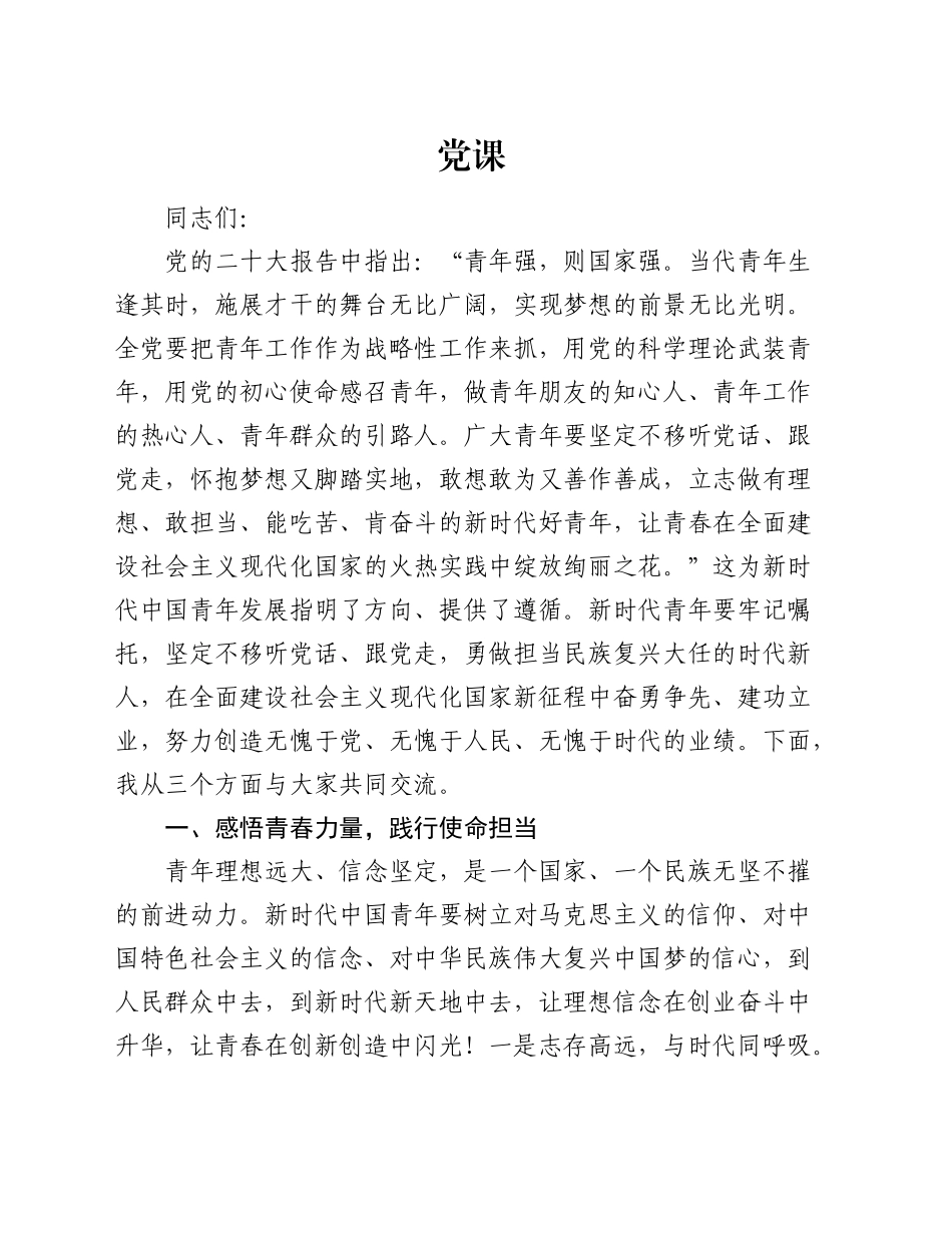 党课：做担当时代大任的中国青年_第1页