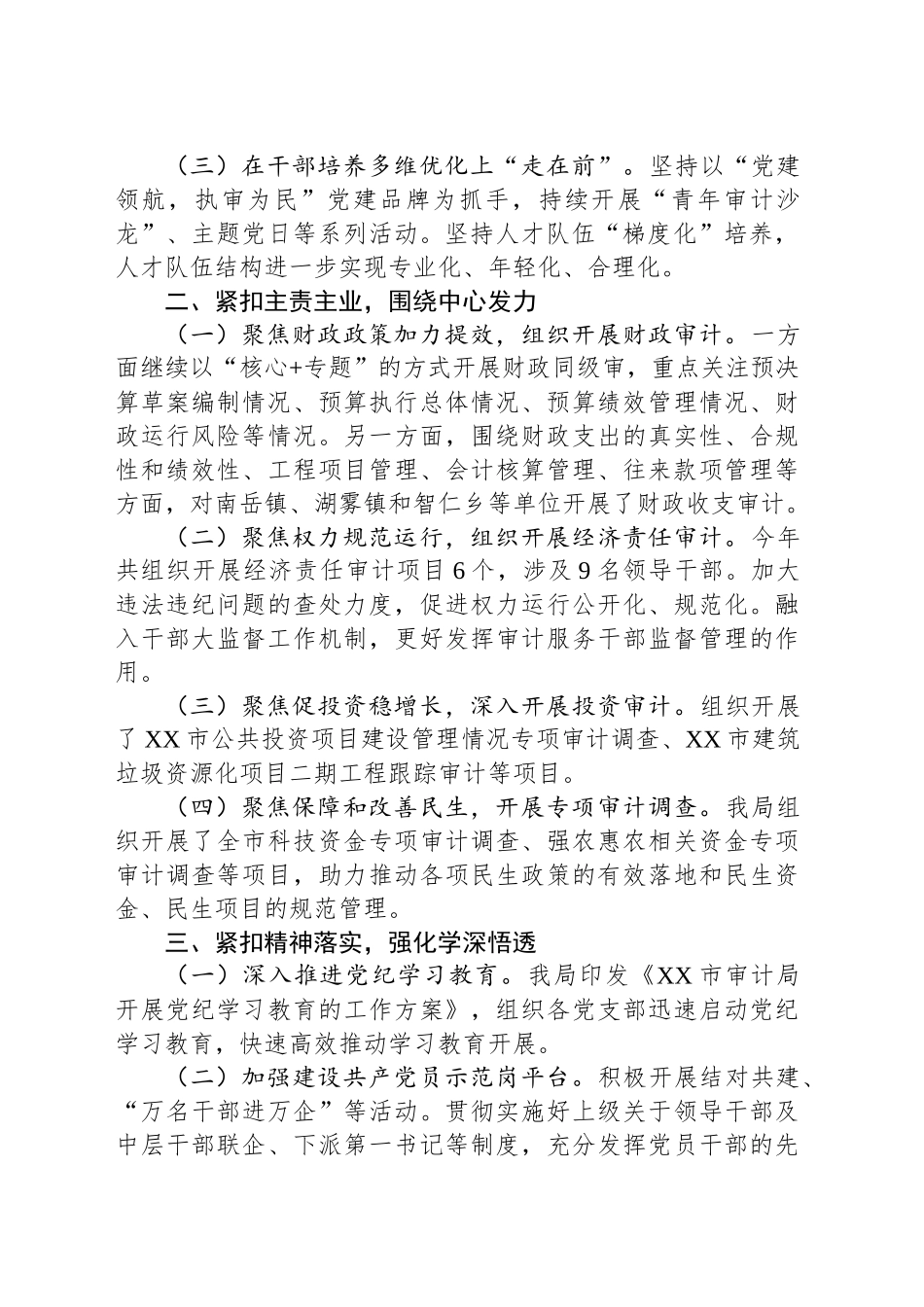 市审计局2024年度工作总结及2025年工作思路_第2页