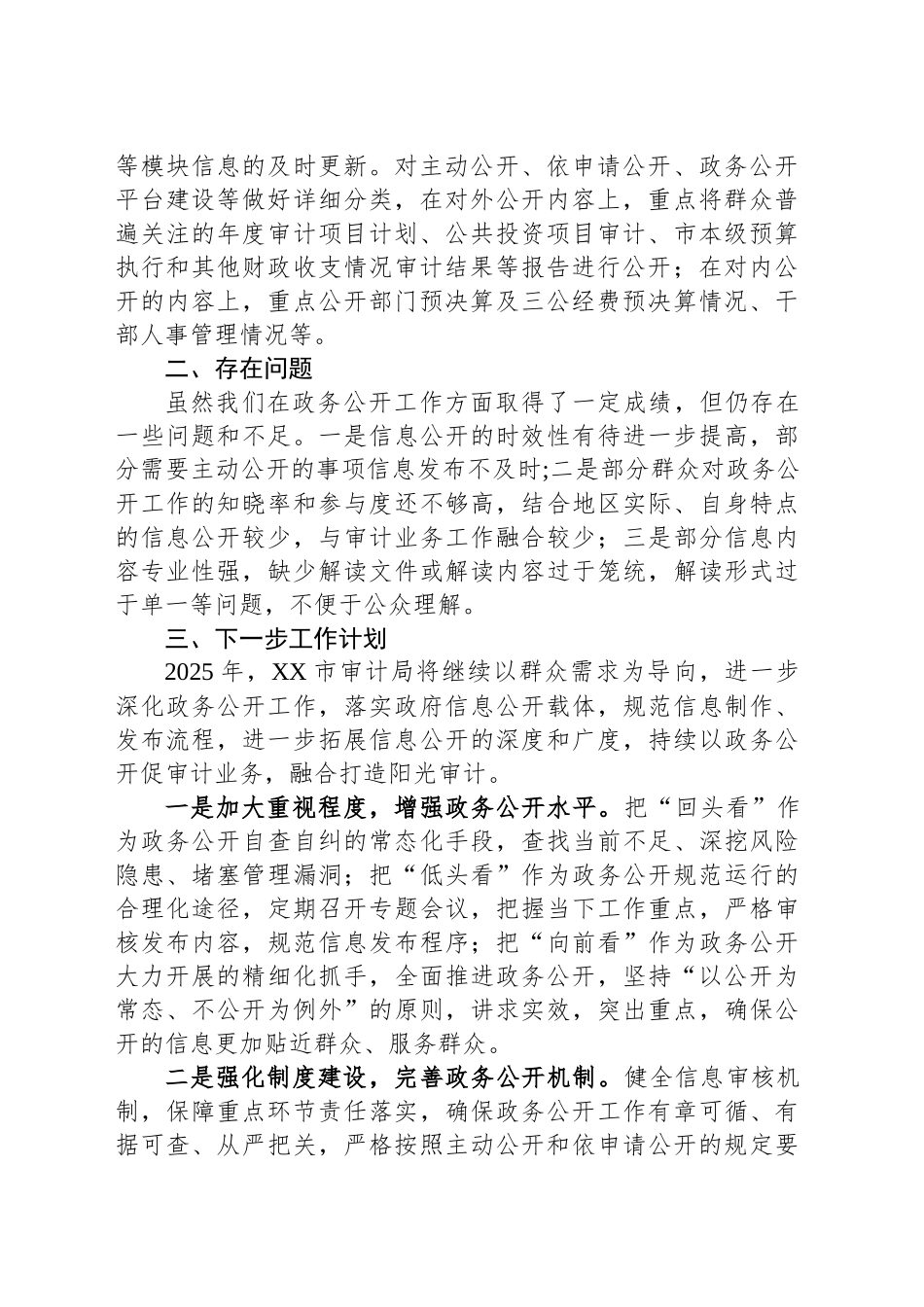 市审计局2024年度政务公开工作总结_第2页