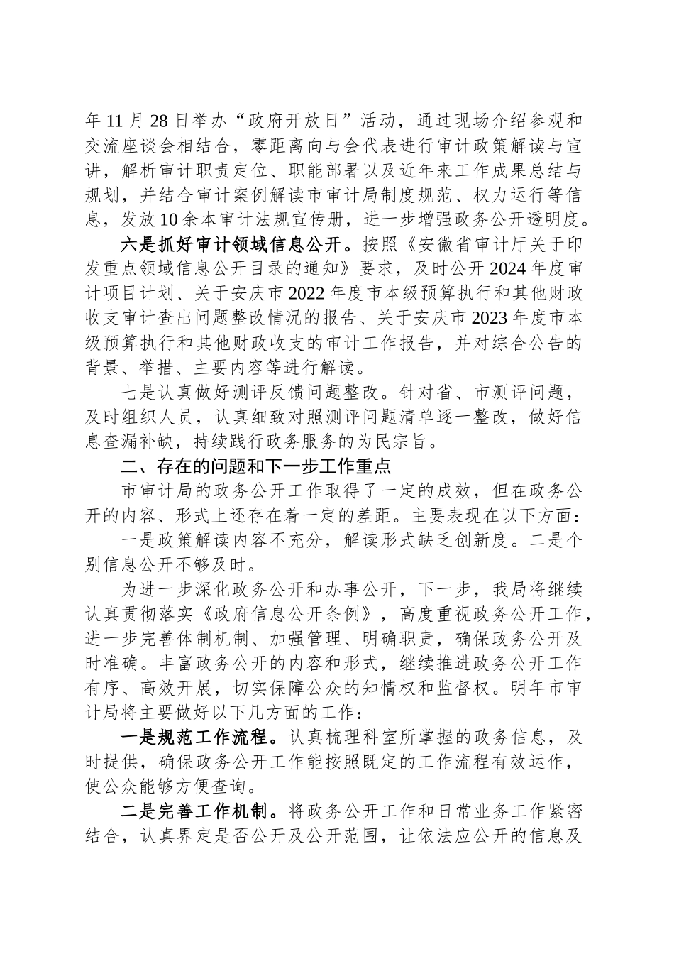 市审计局2024年政务公开工作总结_第2页