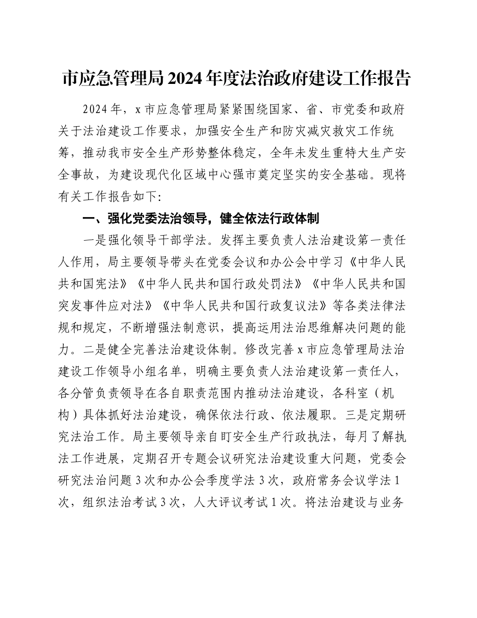 市应急管理局2024年度法治政府建设工作报告_第1页