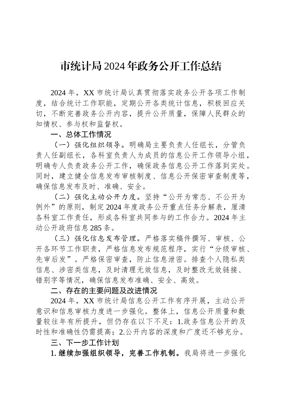 市统计局2024年政务公开工作总结_第1页