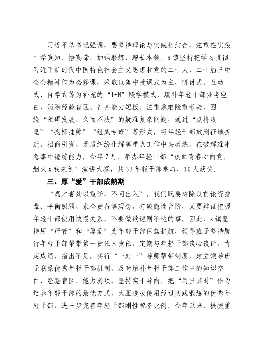 镇书记关于干部队伍建设的汇报交流发言_第2页