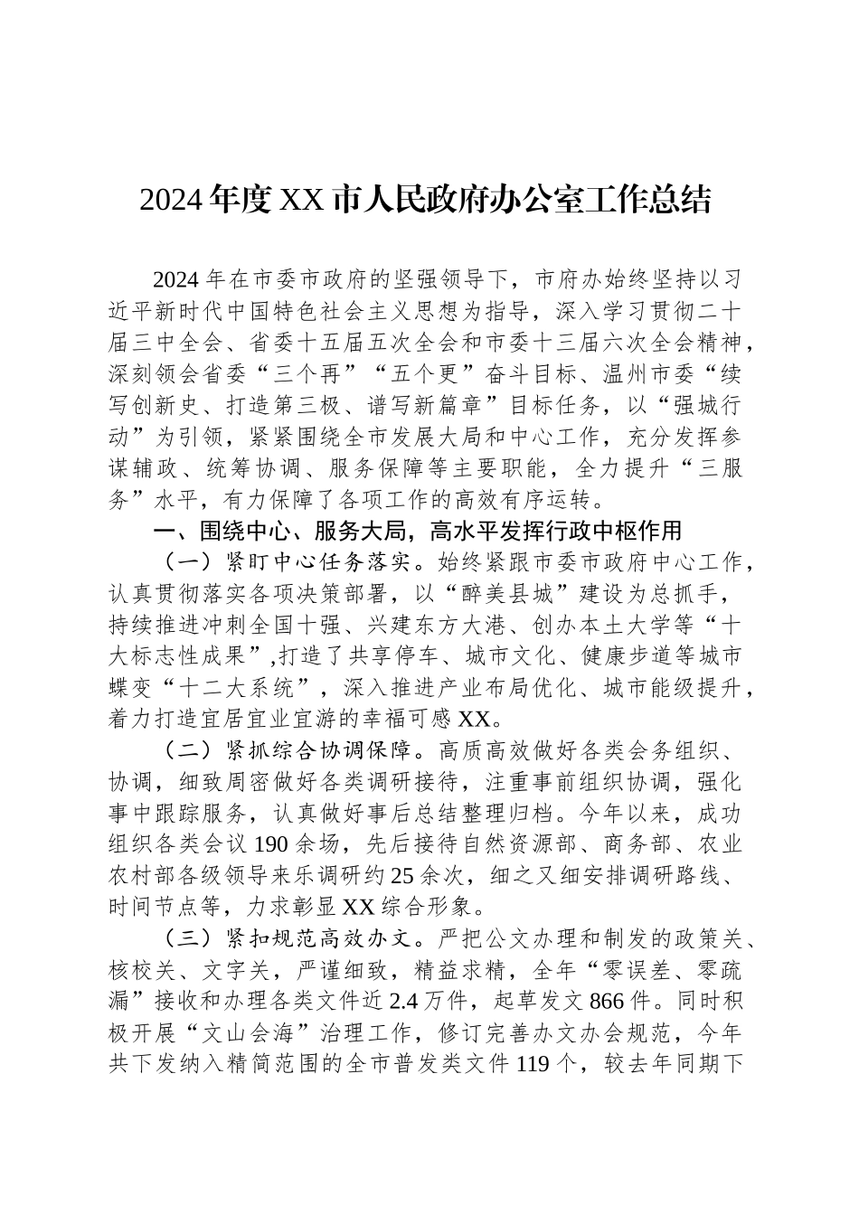 2024年度XX市人民政府办公室工作总结_第1页