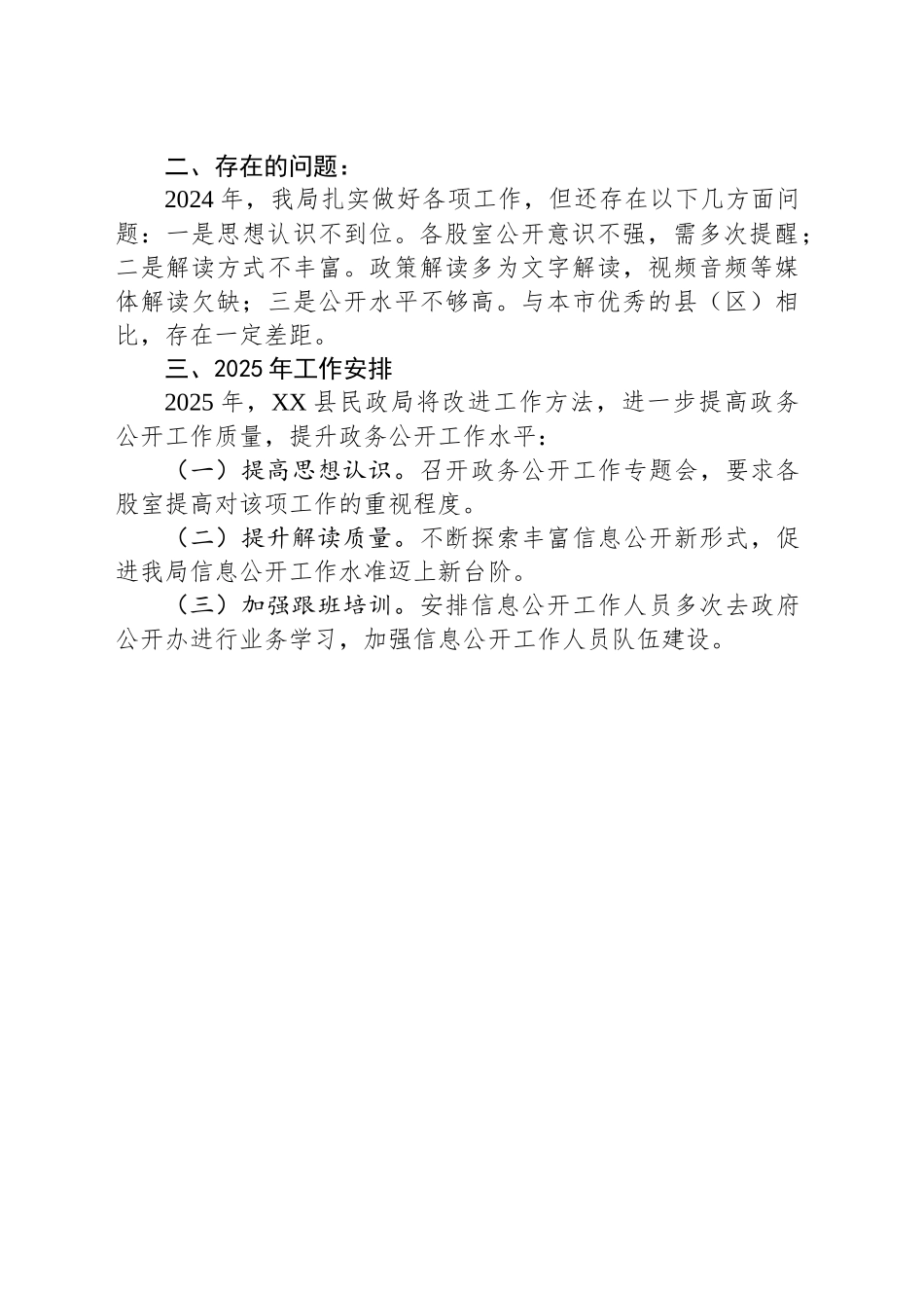 2024年XX县民政局政务公开工作总结_第2页