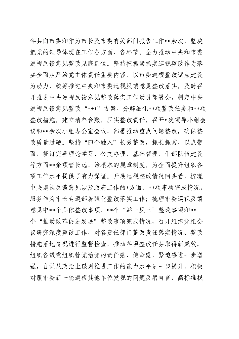 2024市长全面从严治党责任报告_第2页