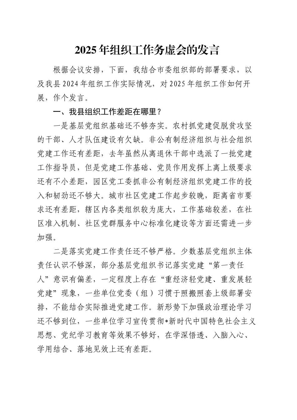 2025年组织工作务虚会发言_第1页